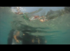 underwater