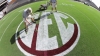 sec-painting
