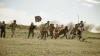 field