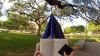 hammock