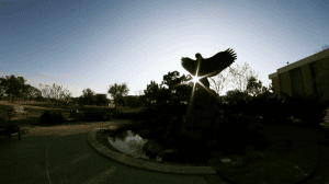 Eagle