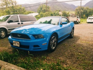 Mustang Convertible