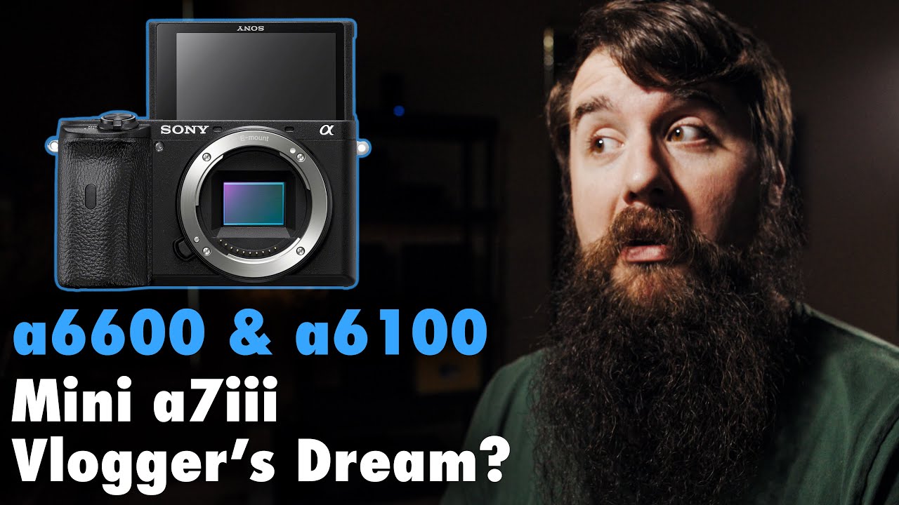 Sony a6600: I've never had such mixed feelings about a camera!