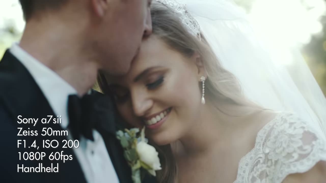 The couple close together, overlay reading Sony a7sii, Zeiss 50mm, F1.4 ISO 200, 1080P 60fps, Handheld