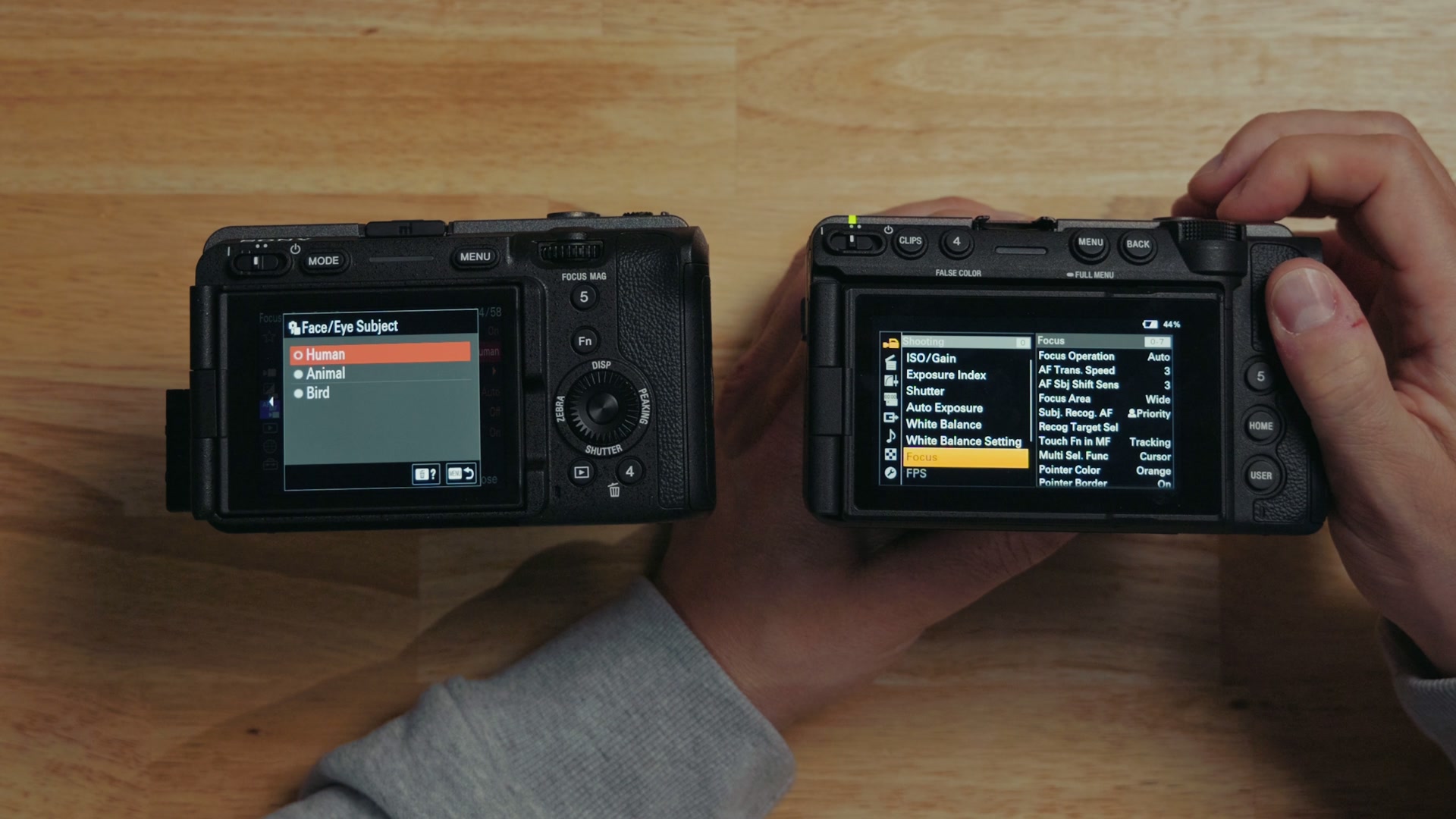 A camera menu showing the Face and Eye Subject options for Human, Animal and Bird