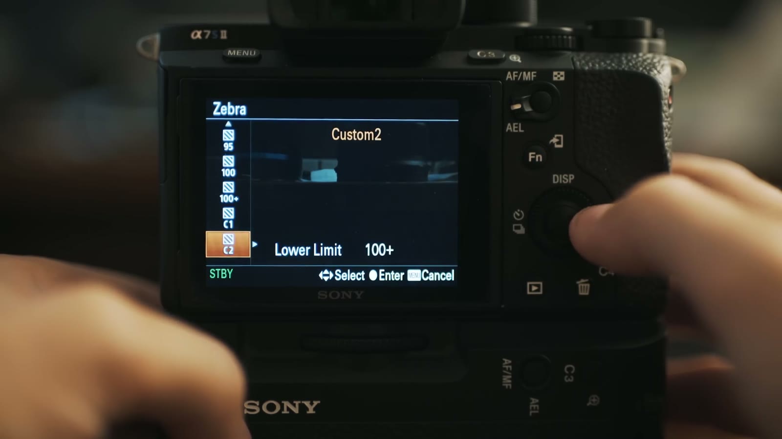The Zebra setting screen with the lower limit set to 100+