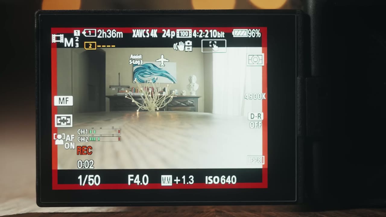 a7S III rear monitor with a red recording border, REC and 0:02 timer showing while filming a living room