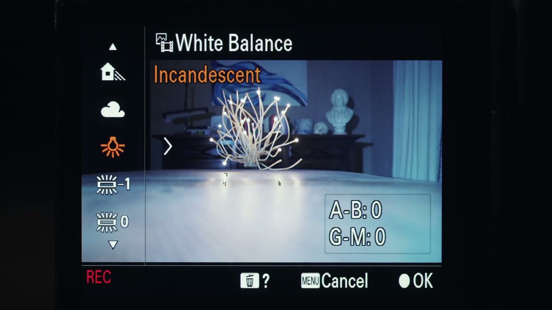 The Sony a7S III White Balance preset screen set to Incandescent, turning the whole image deep blue