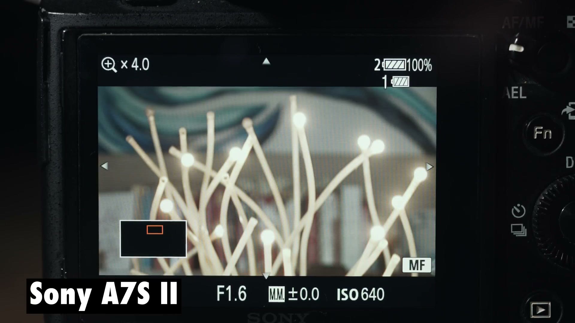 A Sony a7S II rear screen punched in 4x to check focus, with a visibly soft and low resolution magnified image