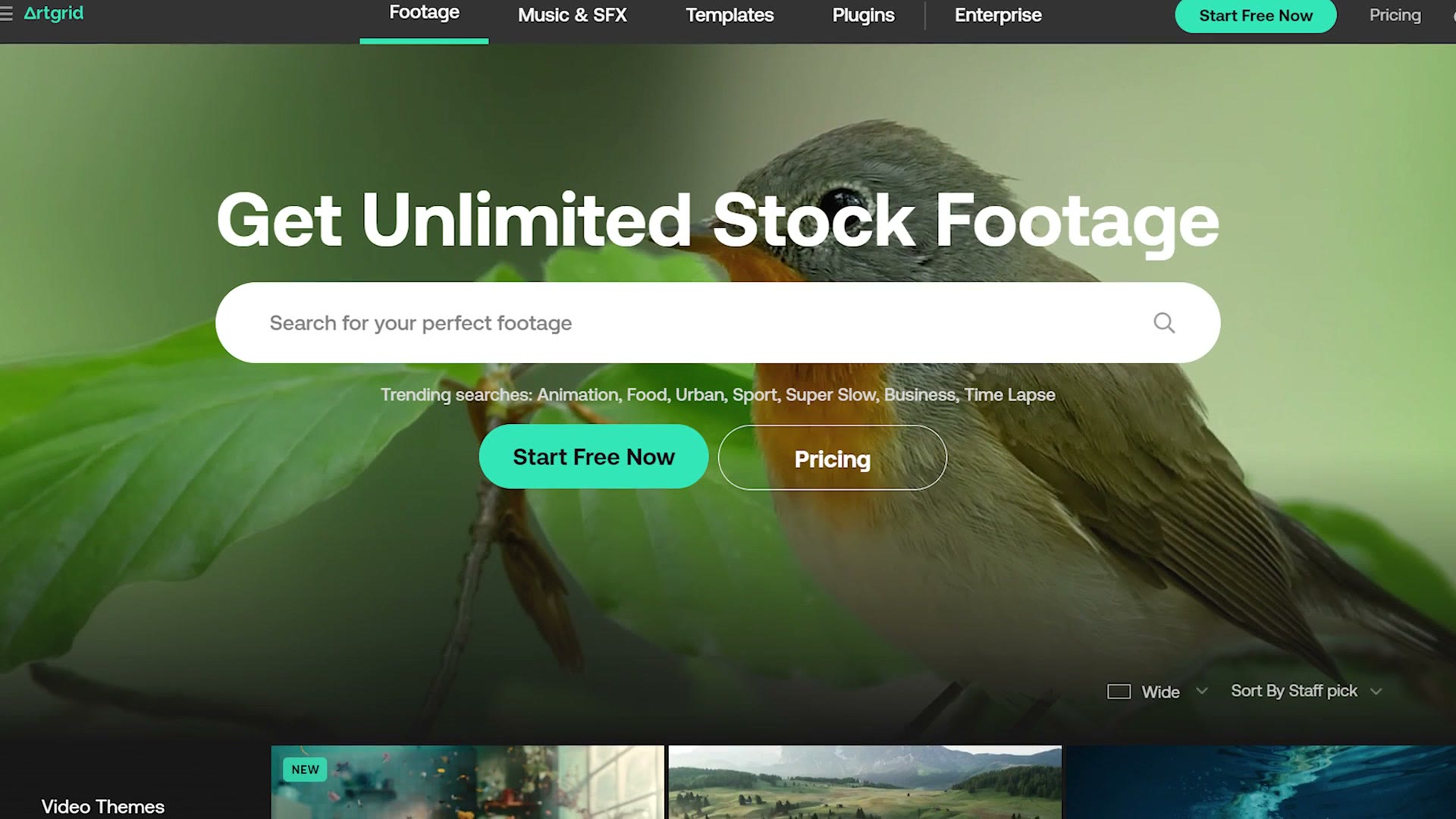 Artgrid homepage with the headline Get Unlimited Stock Footage
