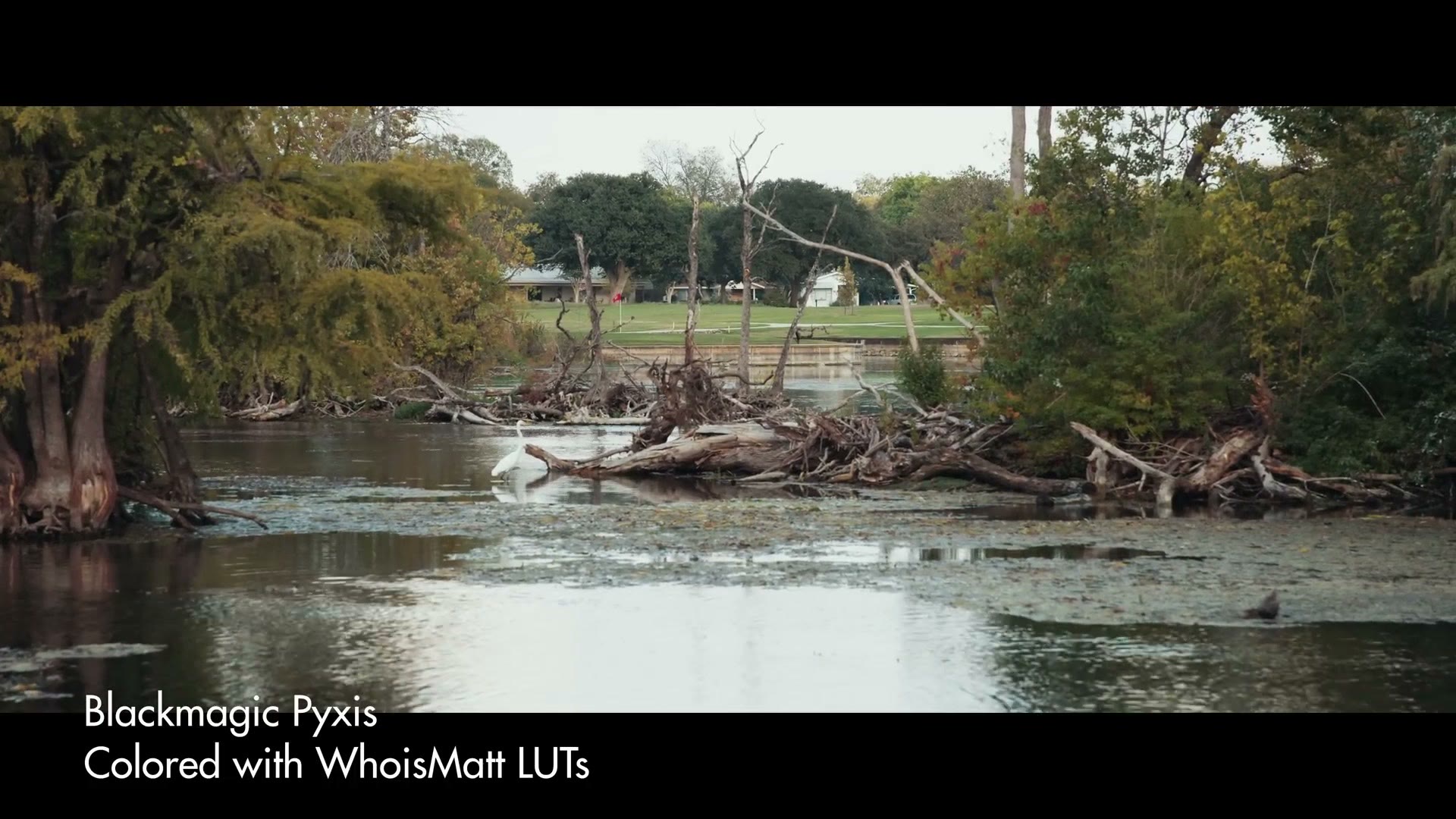 Wide graded sample frame filmed on the Blackmagic Pyxis showing trees and water