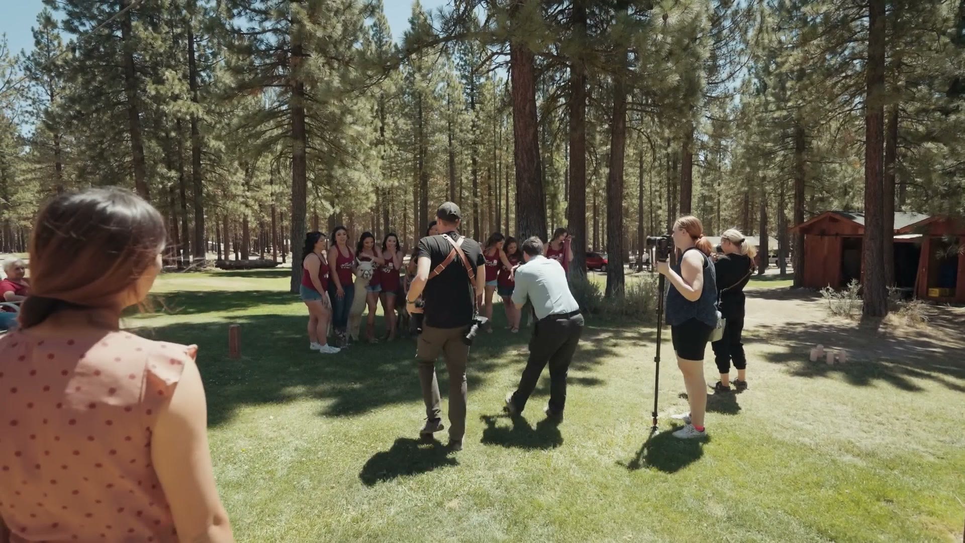 Bridal party portraits being filmed outdoors among the pine trees