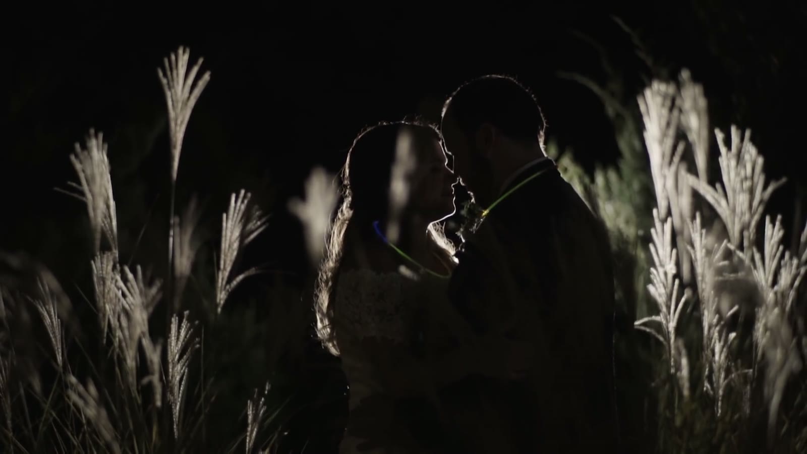 Silhouette of the couple kissing at night among tall pampas grass