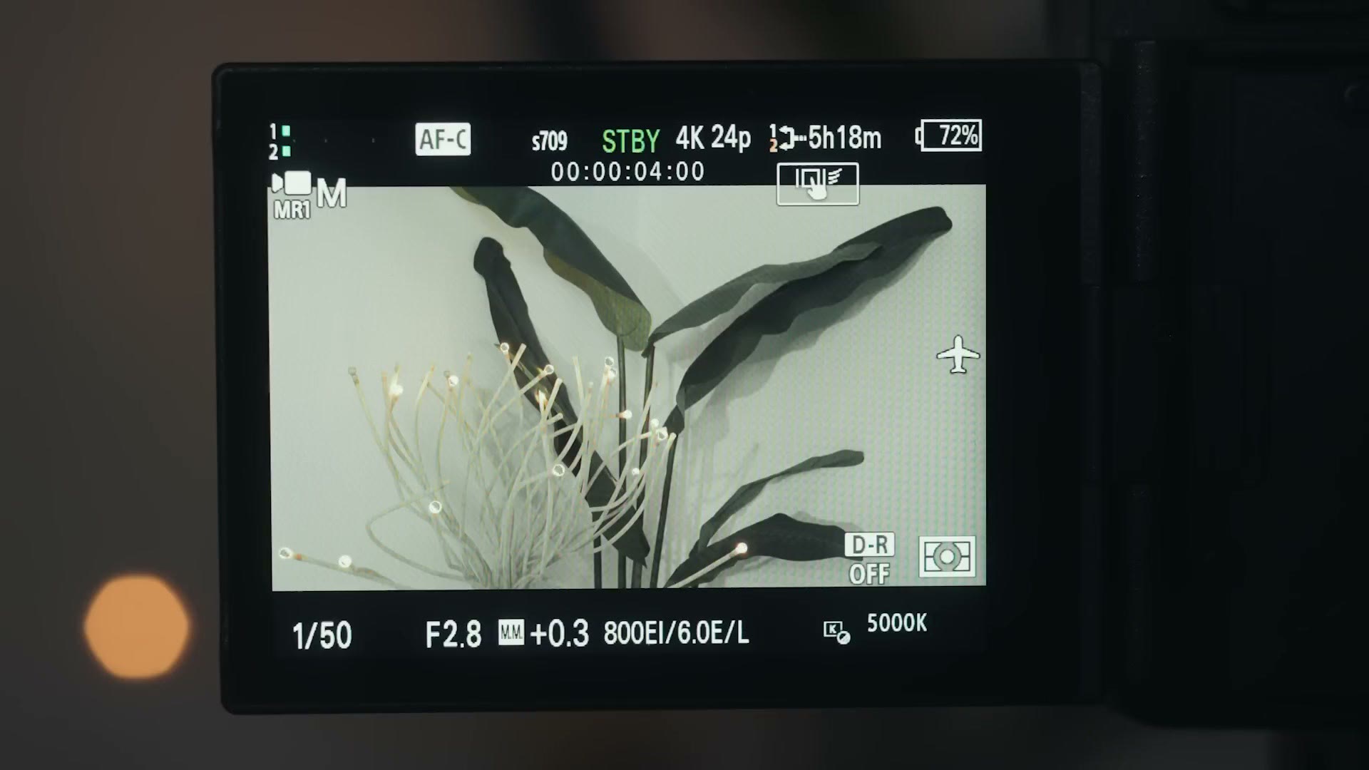 Sony FX camera display showing 800EI with an L suffix