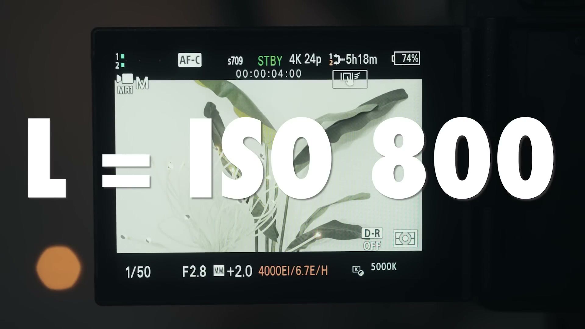 Camera display with an on screen caption reading L equals ISO 800