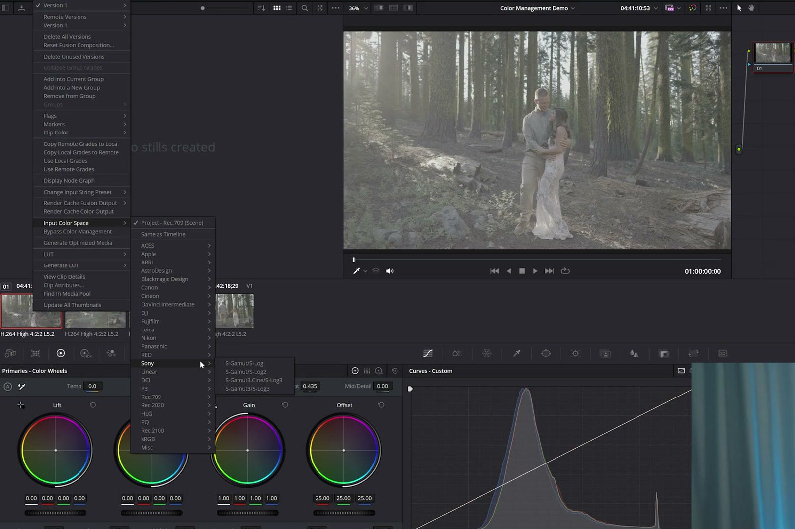 DaVinci Resolve right click menu with the Input Color Space submenu listing camera manufacturers