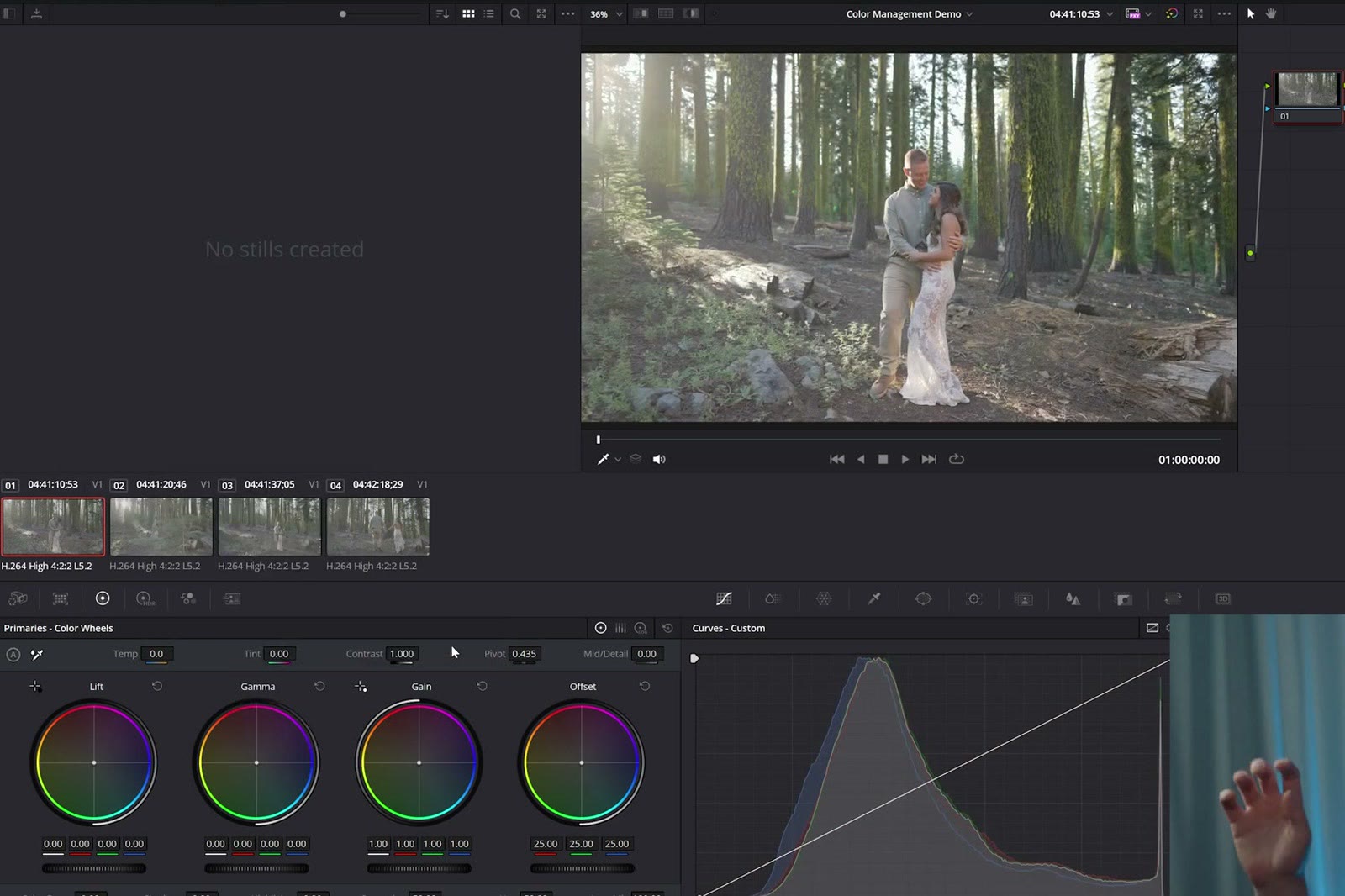 DaVinci Resolve viewer showing the forest wedding clip converted to Rec.709 by color management