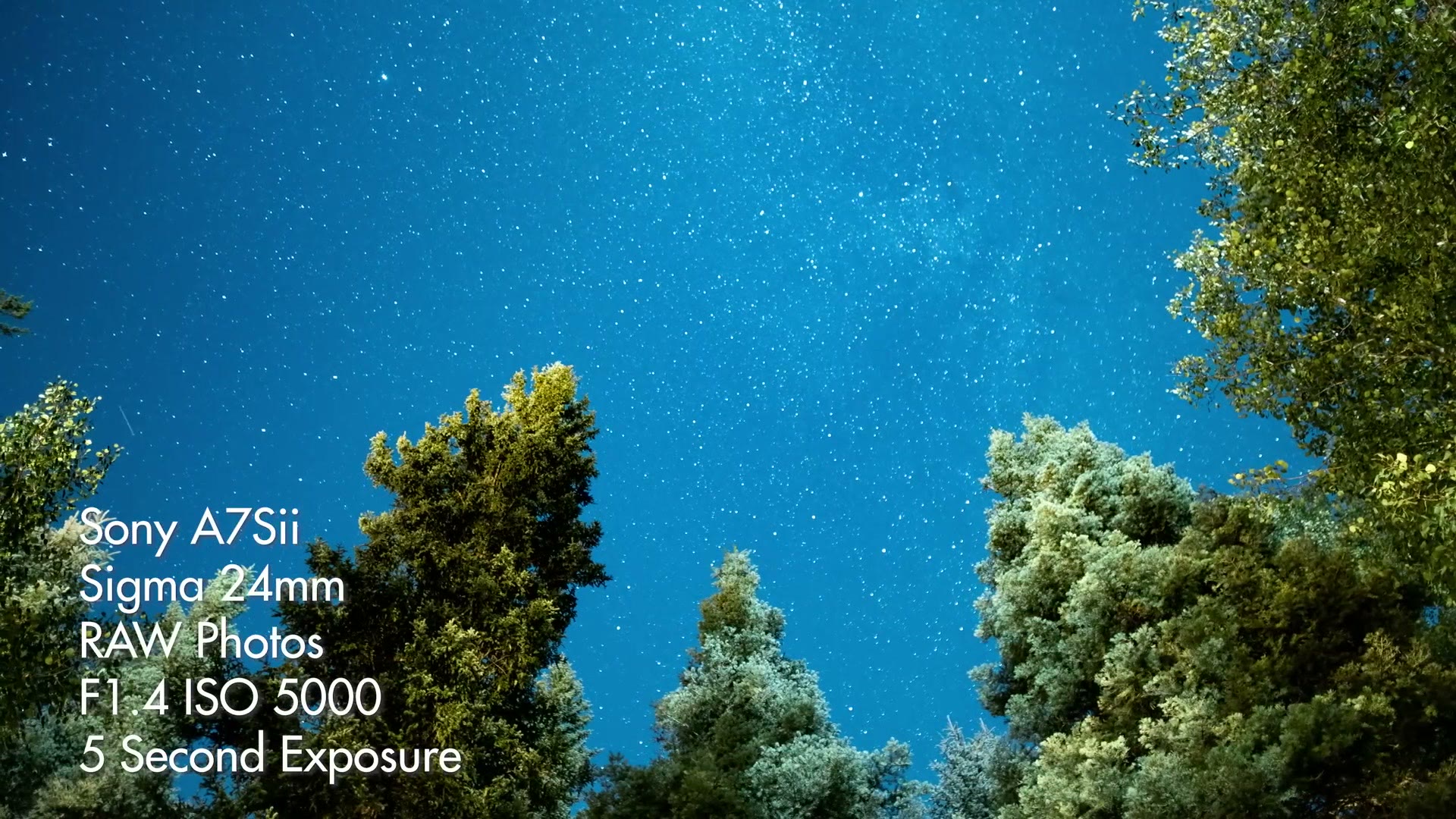 Star field over the tops of pine trees, overlaid with settings reading Sony A7Sii, Sigma 24mm, RAW photos, F1.4 ISO 5000, 5 second exposure