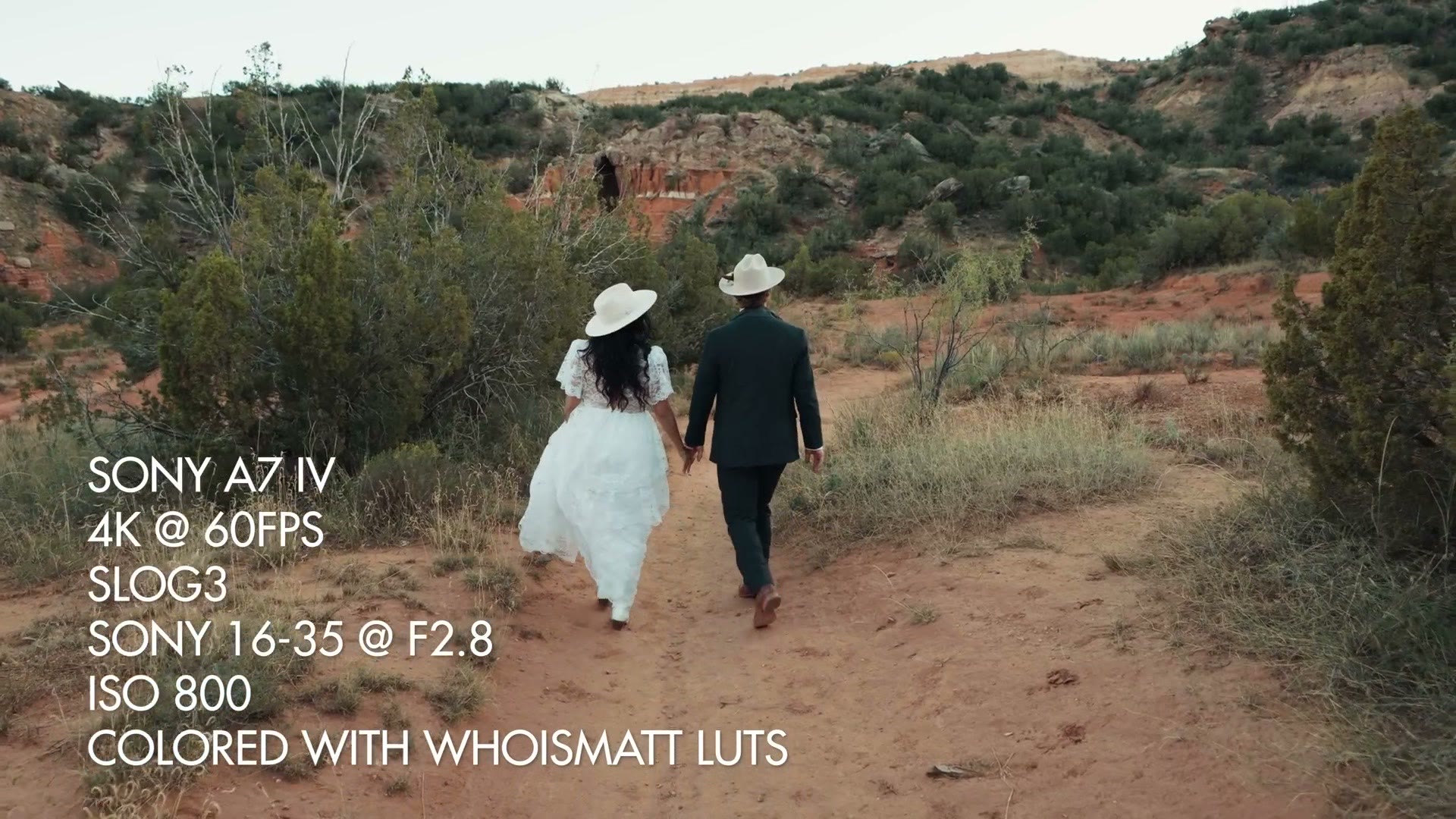 Couple walking, 4K 60 S-Log3