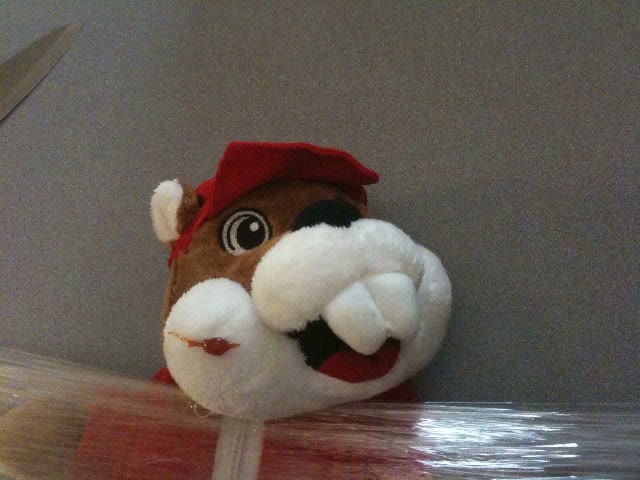 A plush cartoon beaver toy in a red cap lying on a table, wrapped down with a band of clear cling film across its middle