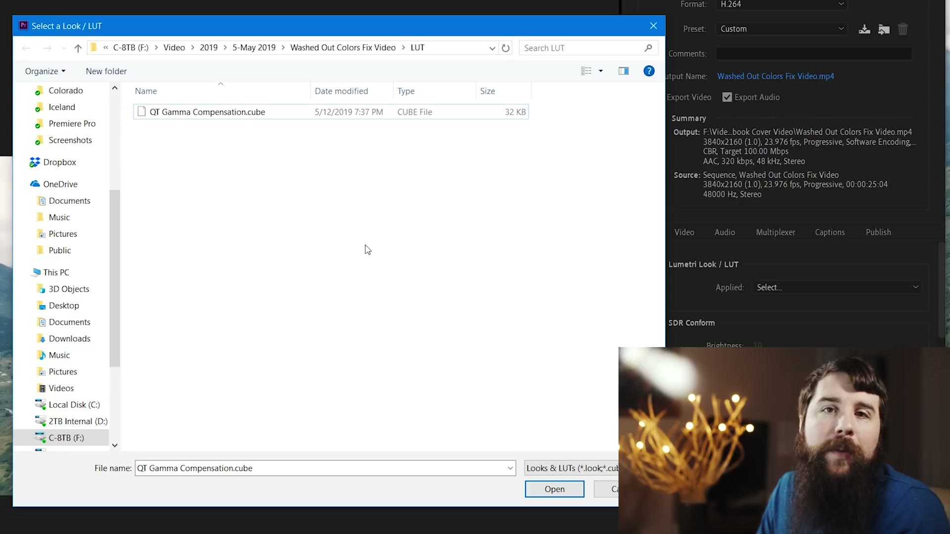A Windows file dialog inside Premiere showing a single .cube file named QT Gamma Compensation.