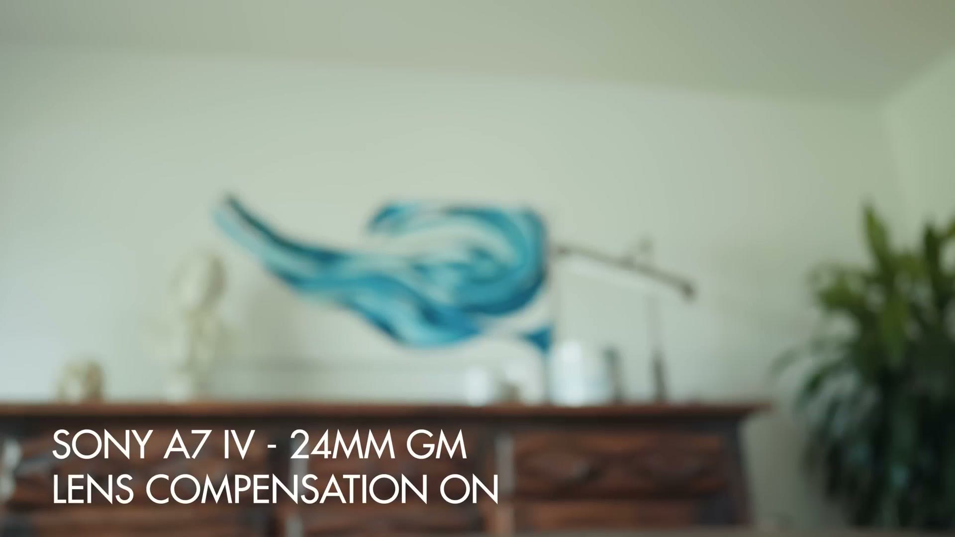 Test footage labeled Sony a7 IV 24mm GM lens compensation on