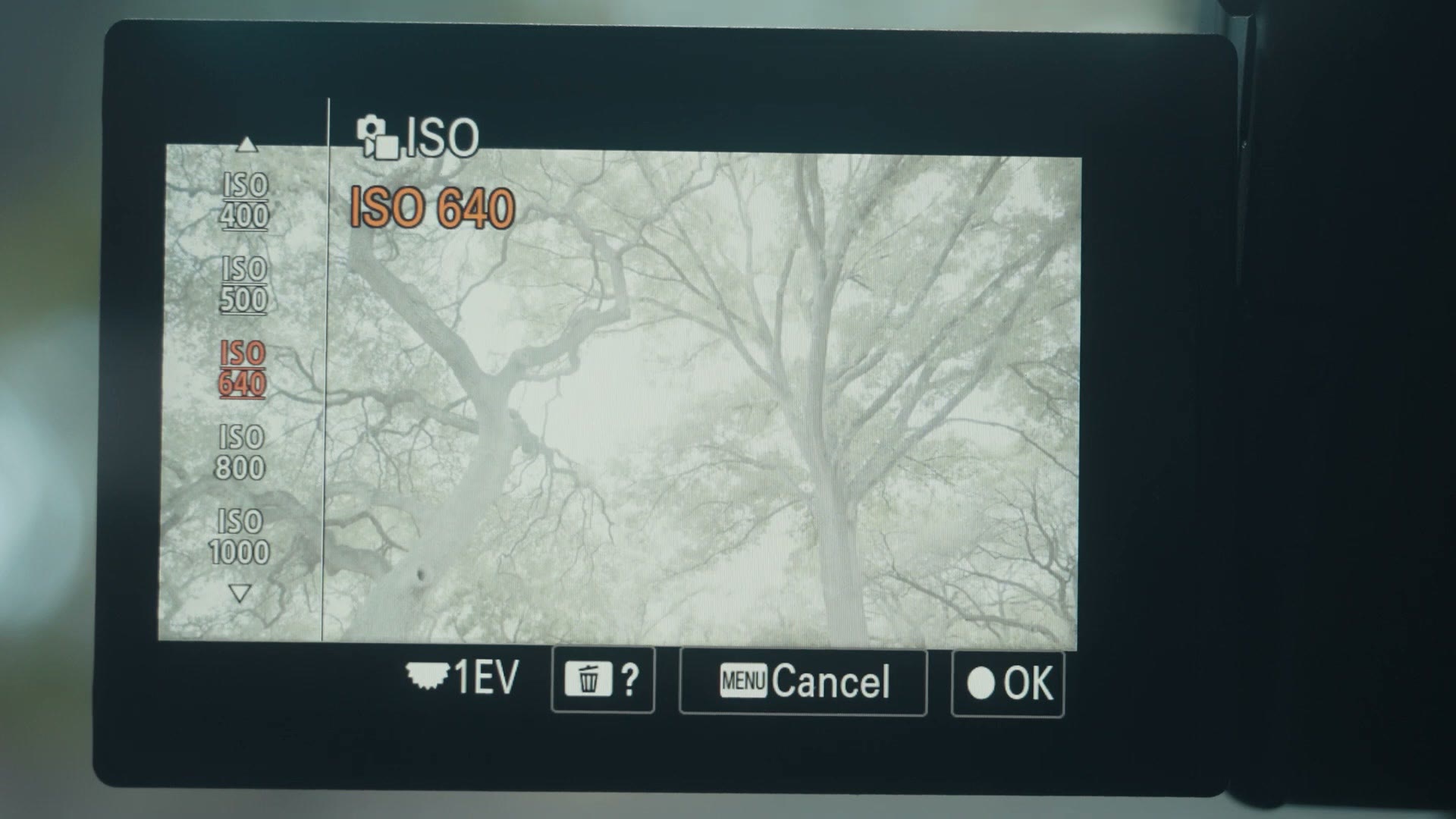 Sony FX30 ISO menu showing ISO 640 with lines above and below the number