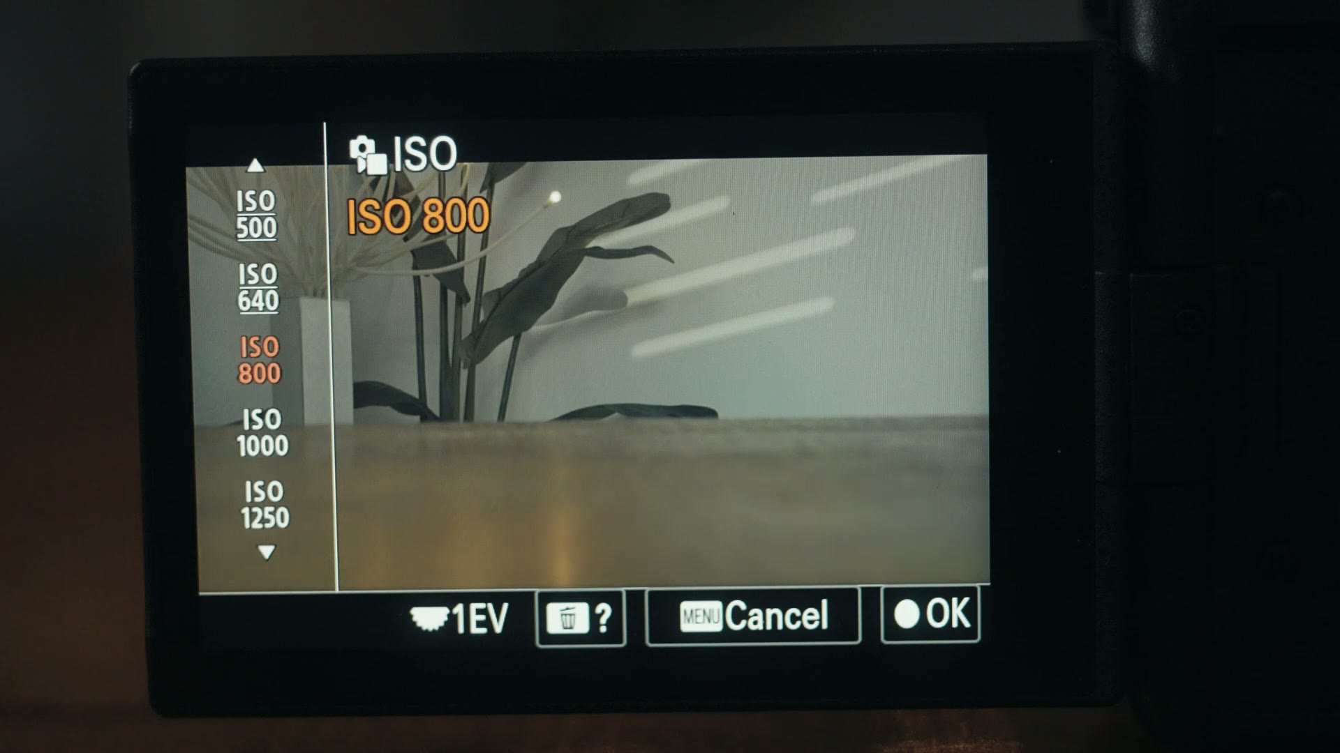 Sony FX30 ISO menu showing ISO 800 selected with no lines around the number
