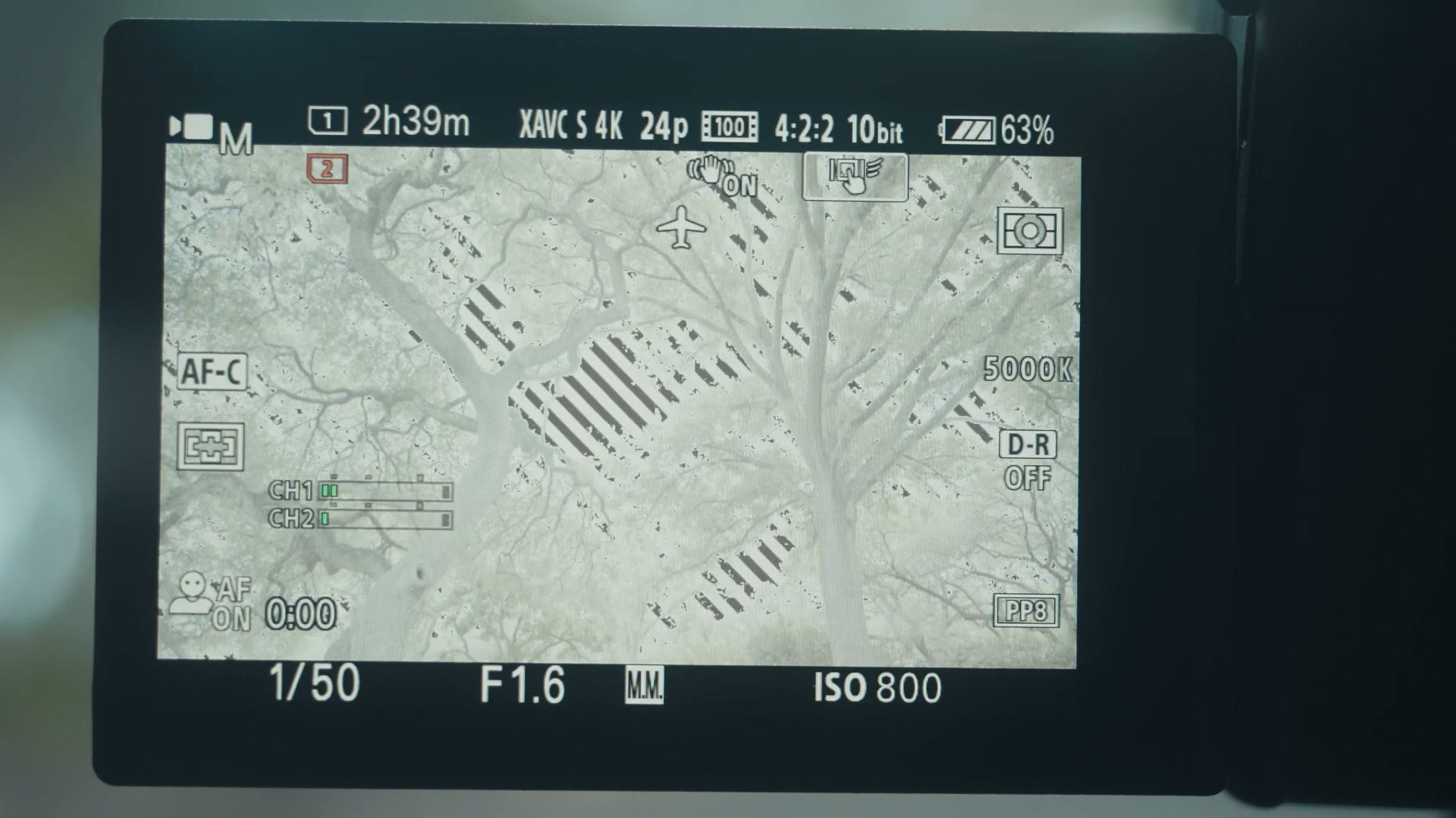 Zebra stripes appearing on the overexposed parts of the image on the FX30 screen