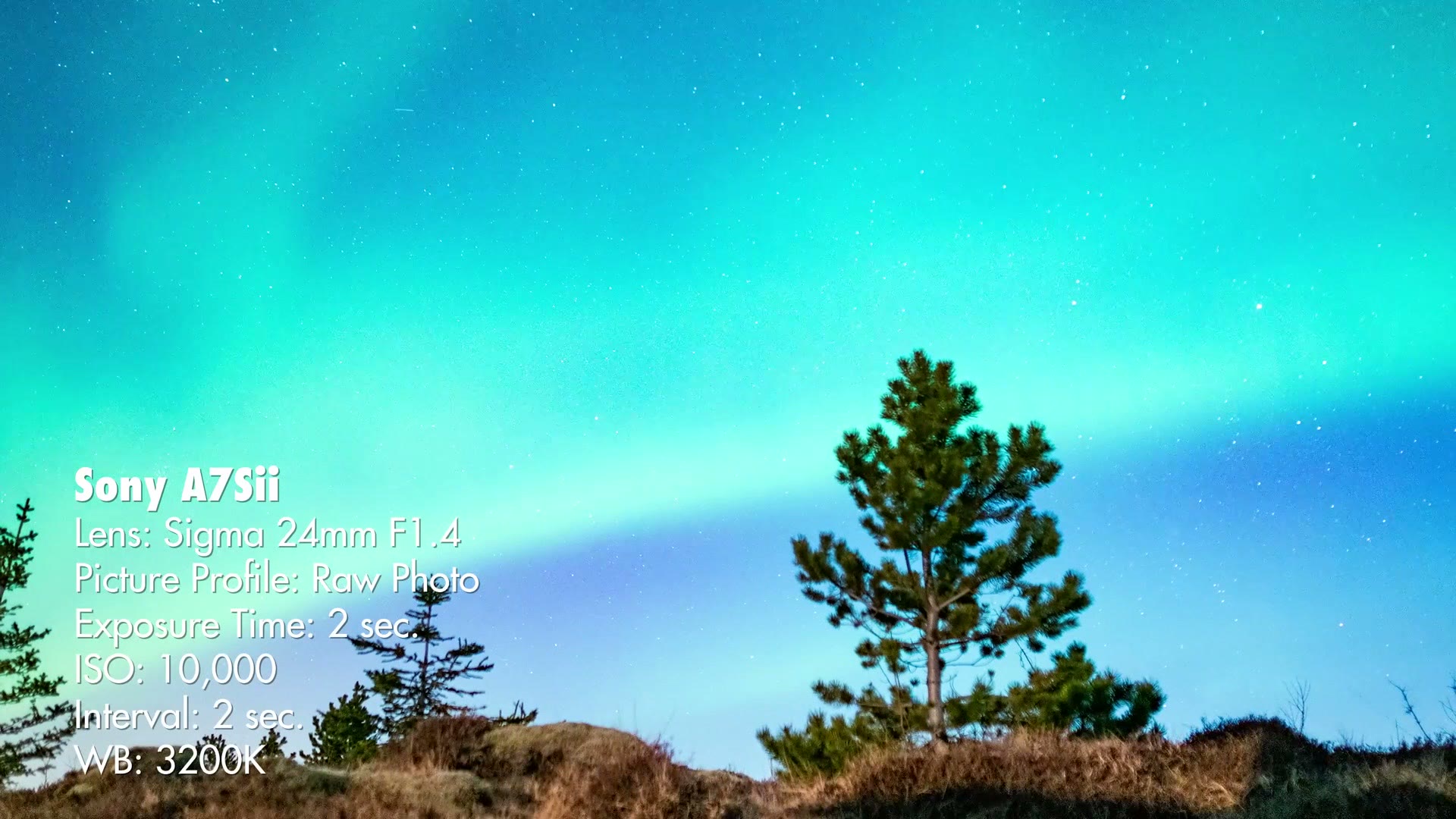 The aurora borealis in bands of green and blue over a single pine tree, with an overlay listing Sony A7Sii, Sigma 24mm F1.4, Raw Photo picture profile, 2 second exposure, ISO 10,000, 2 second interval and 3200K white balance