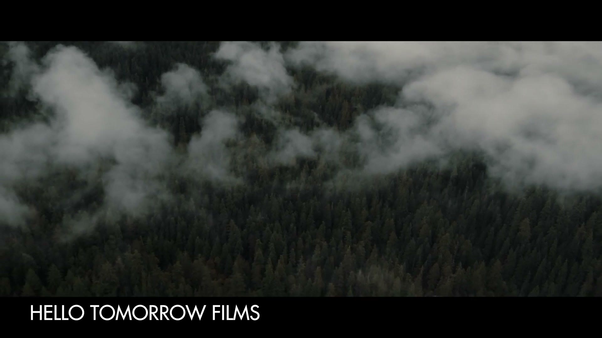 An aerial shot of low cloud drifting over a dense evergreen forest, credited on screen to Hello Tomorrow Films