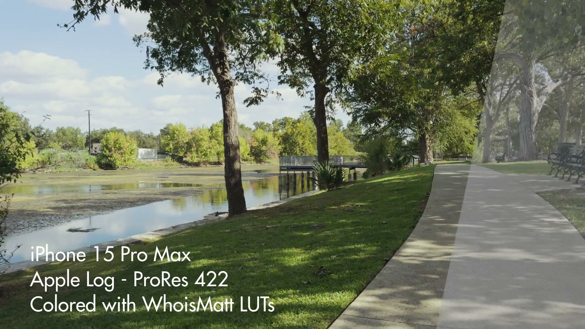 Graded park footage shot on iPhone 15 Pro Max in Apple Log
