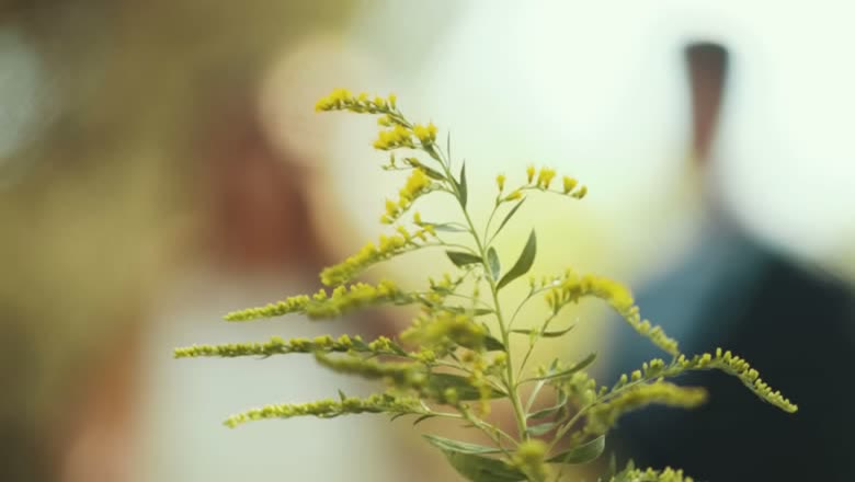 A sprig of goldenrod sharp in the foreground with the bride and groom soft and out of focus behind it