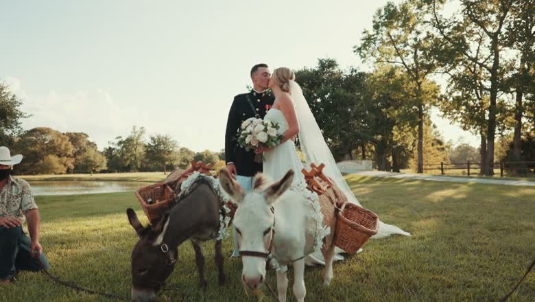 The finished graded shot of the couple kissing beside two decorated donkeys on a golf course at golden hour