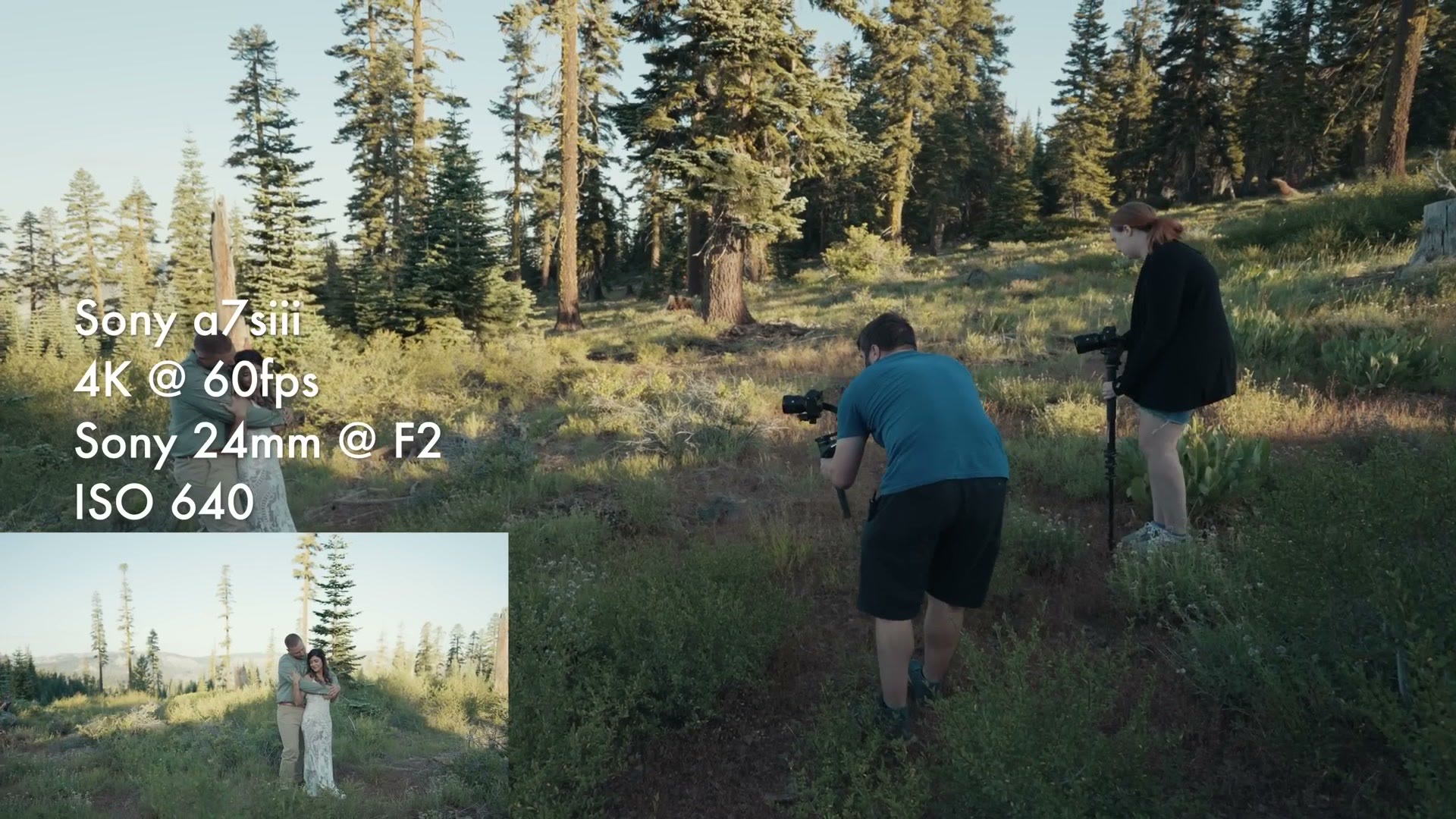 Mountain meadow portraits with the couple among the pines