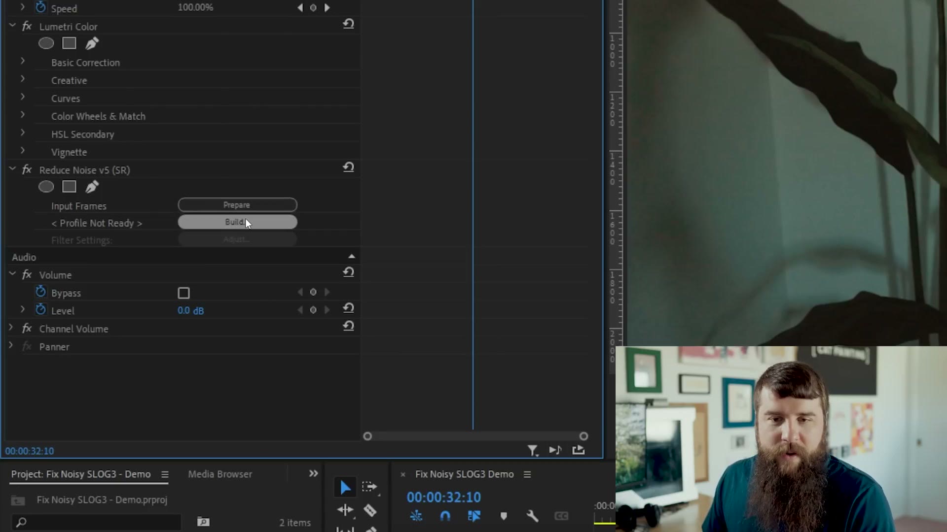 Neat Video effect controls showing Prepare and Build