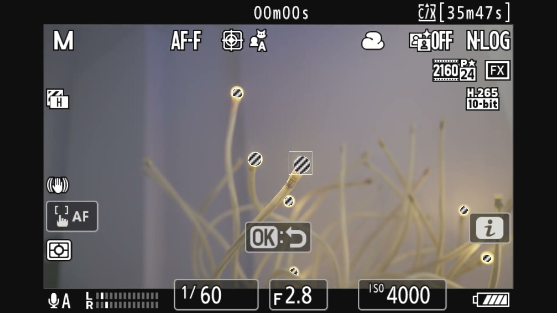 Nikon Z6 III live view with subject tracking engaged and the OK prompt changed to an arrow