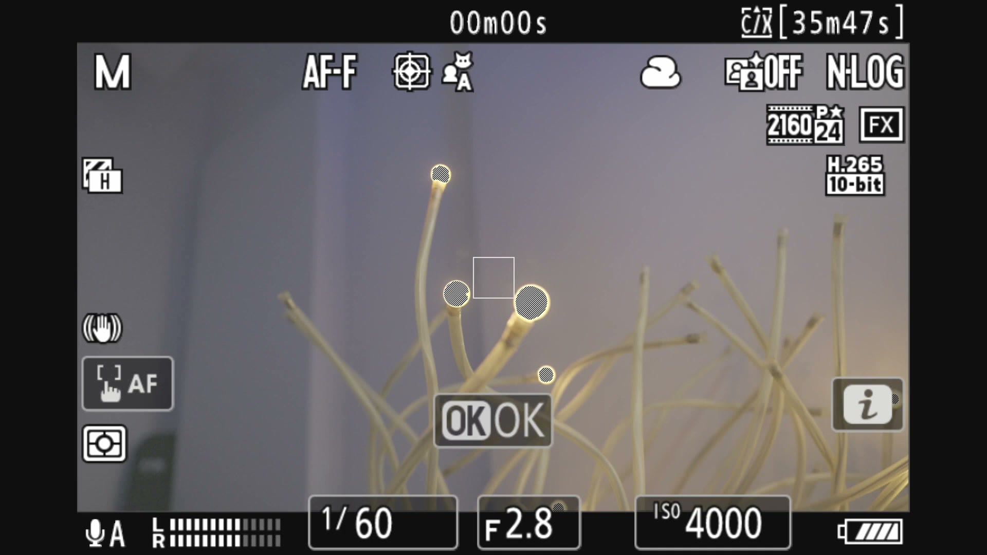 Nikon Z6 III live view showing the subject tracking square and OK prompt