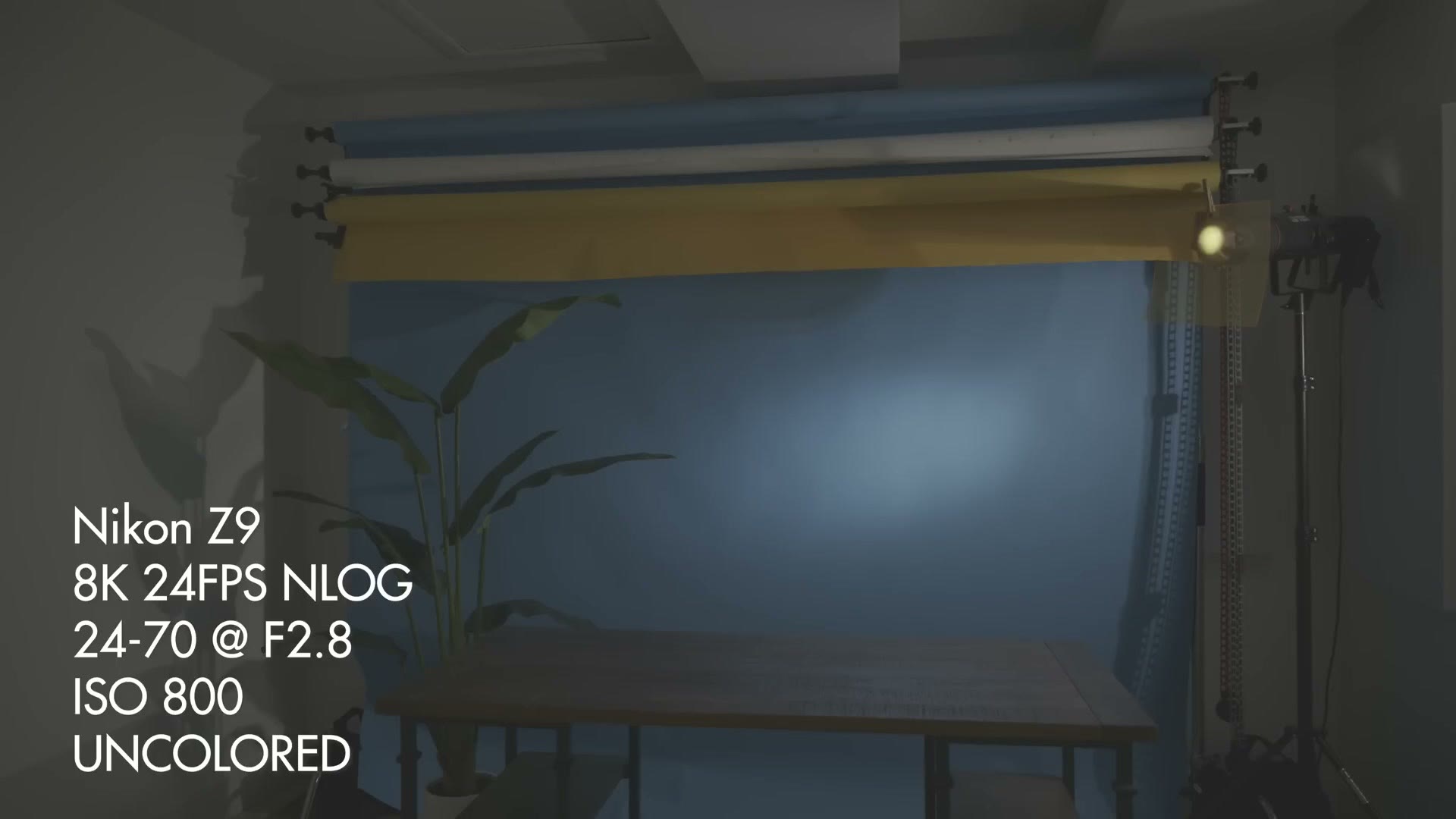 Uncolored N-Log footage from the Nikon Z9 at 8K 24fps and ISO 800