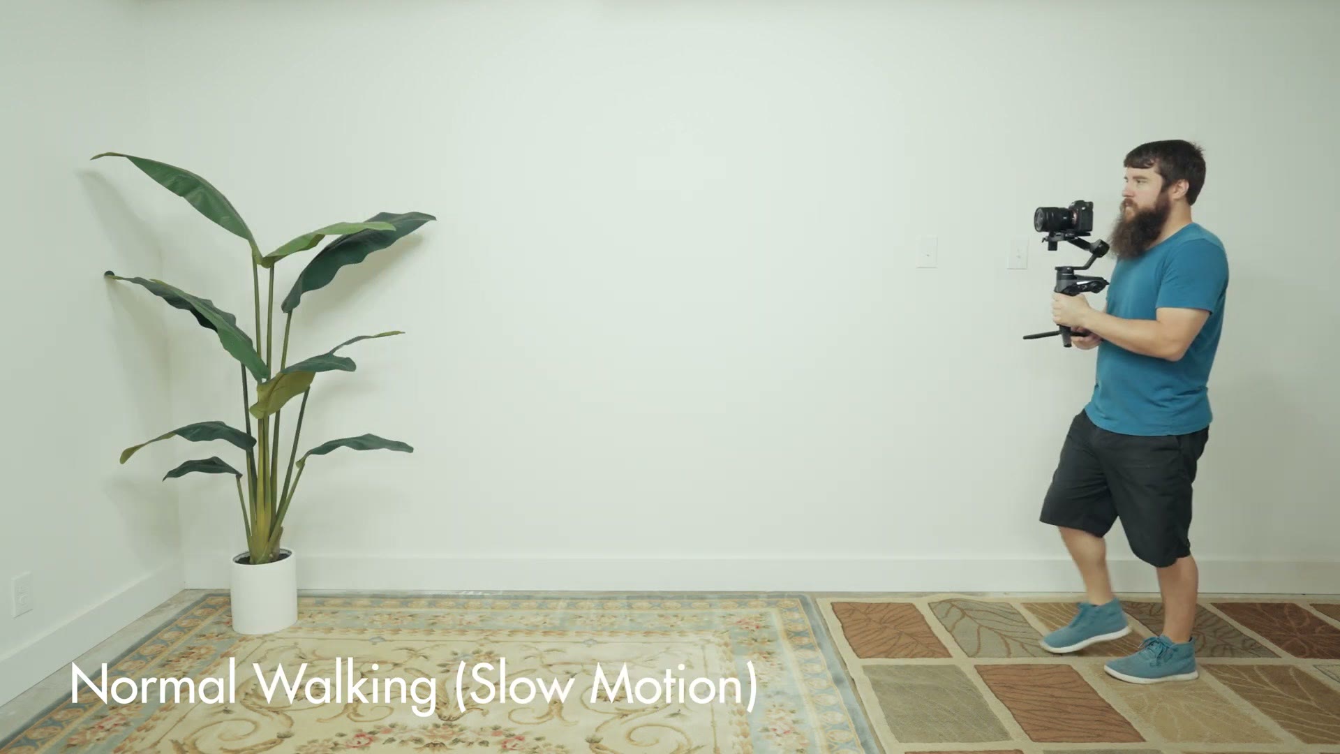 Slow motion side profile of normal walking with a gimbal