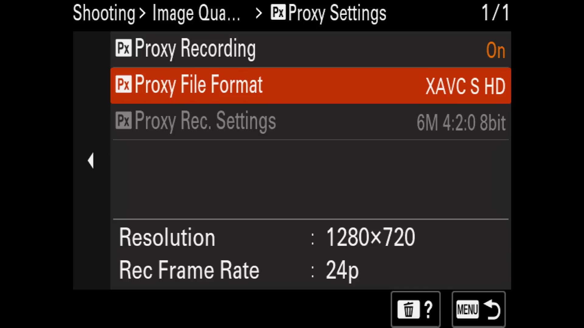 Older Sony mirrorless camera body