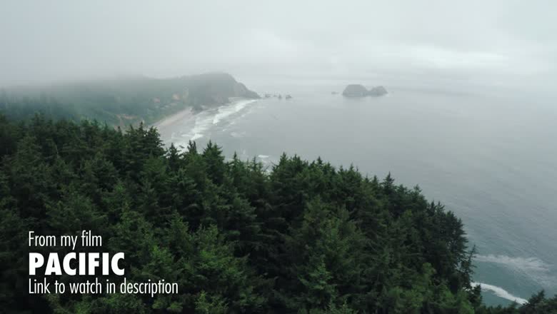 An aerial shot of a forested Pacific Northwest headland running down to a misty beach, captioned as being from the film Pacific
