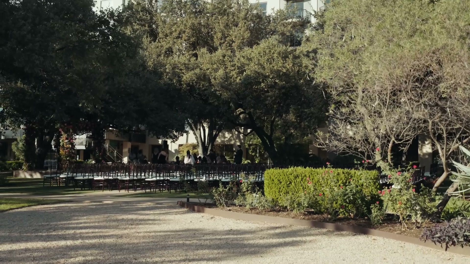 Outdoor ceremony site set with rows of chairs under large oak trees at a hotel in Austin