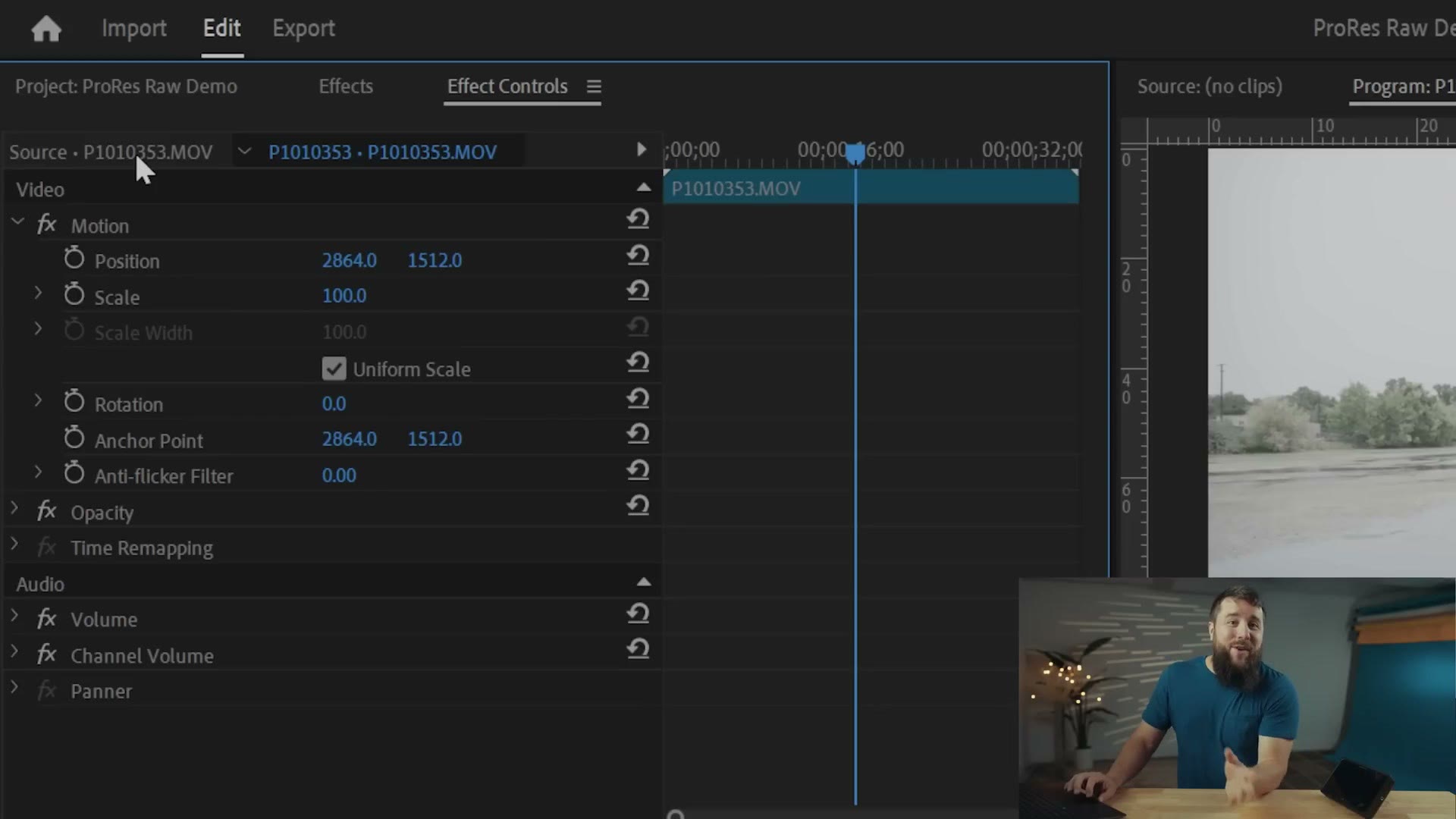 Premiere Pro Effect Controls panel with the Source tab in the top left corner