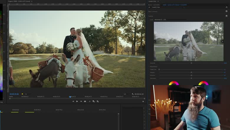 Premiere Pro's Lumetri Color panel on the Creative tab with a LOG LUT selected in the Look dropdown and the Intensity slider below it