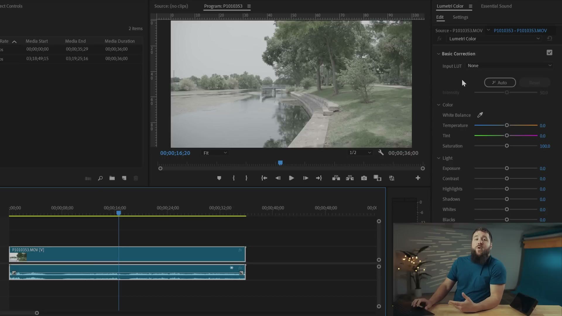 Premiere Pro Lumetri Color panel showing only ordinary color correction controls