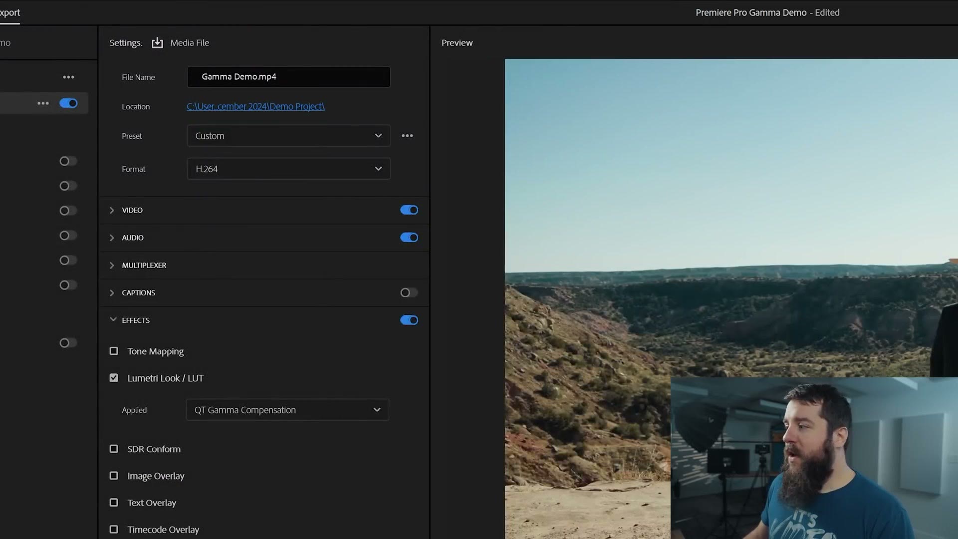 Premiere Pro export settings with the Lumetri Look / LUT checkbox ticked and QT Gamma Compensation selected as the applied LUT