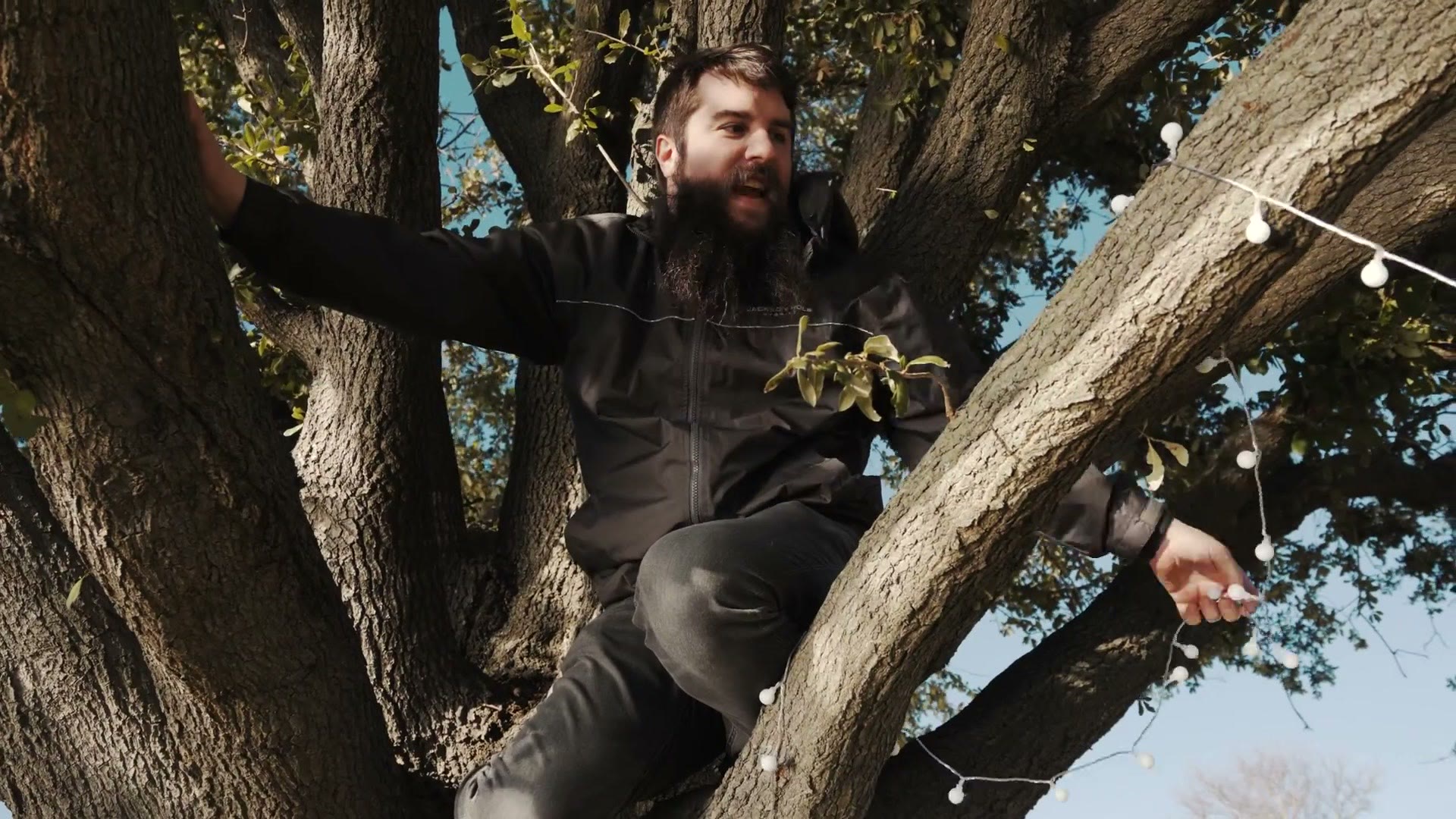 Matt sitting up in the branches of a large oak tree, threading a string of fairy lights along a limb.