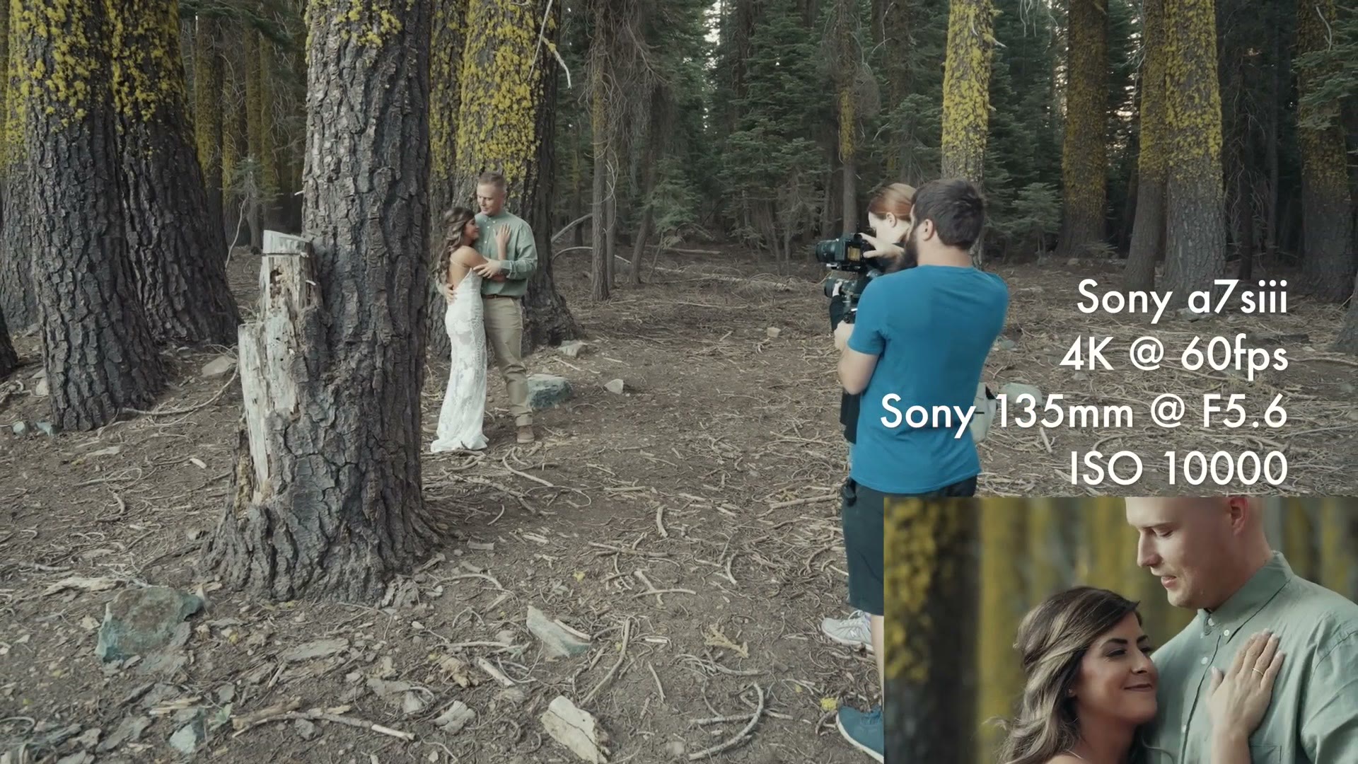 Redwood forest portraits filmed at 135mm and ISO 10000