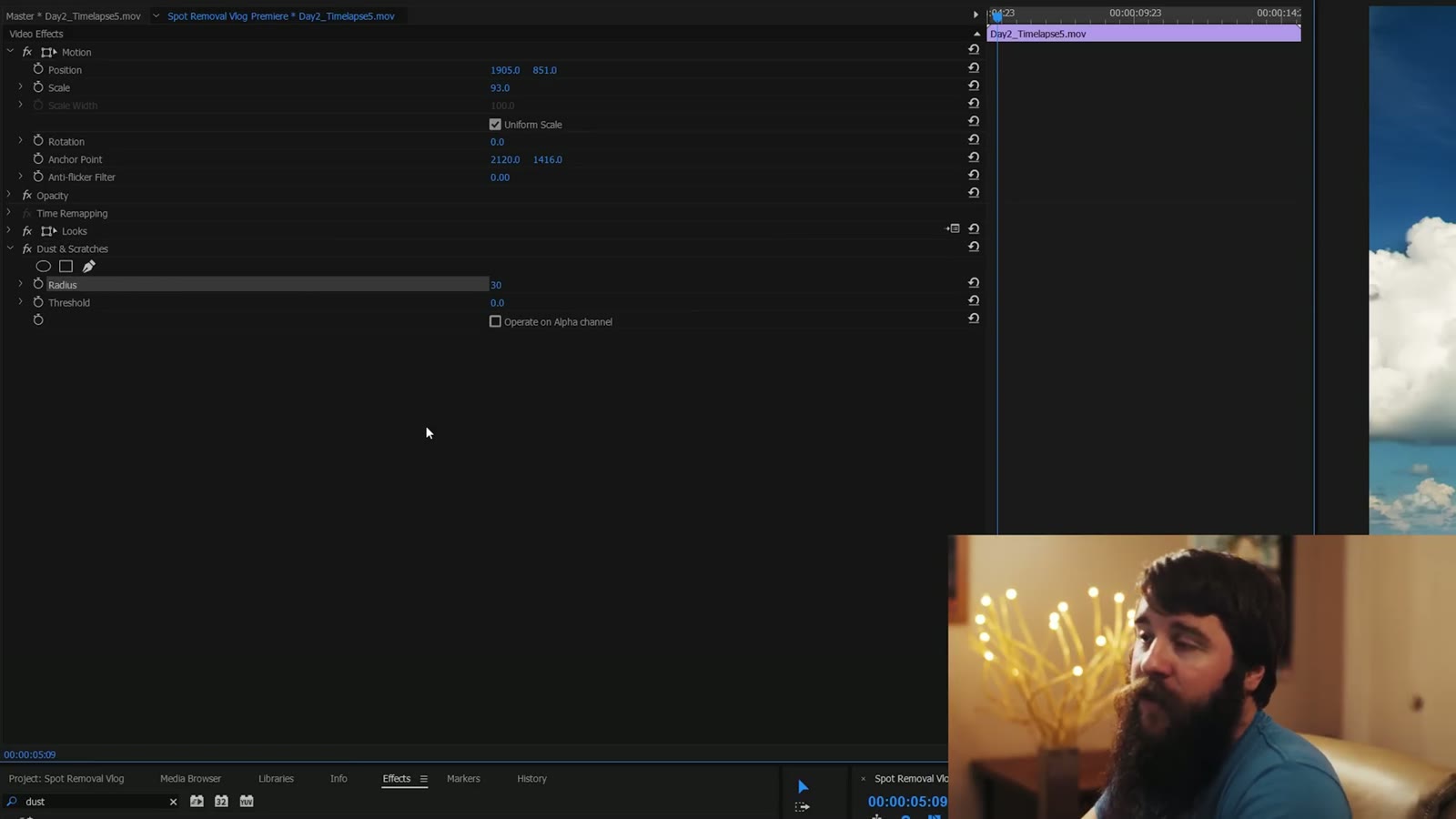 The Premiere Pro Effects panel searched for dust, showing Dust & Scratches under Noise & Grain, with the effect's Radius and Threshold controls